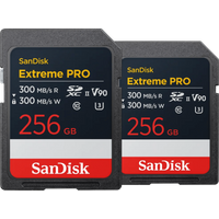 Koop SanDisk MicroSDXC Extreme 256GB 300MB/s Duo Pack - 6151130660672