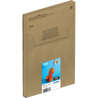Koop Epson 250 Combo Pack - 8715946743882